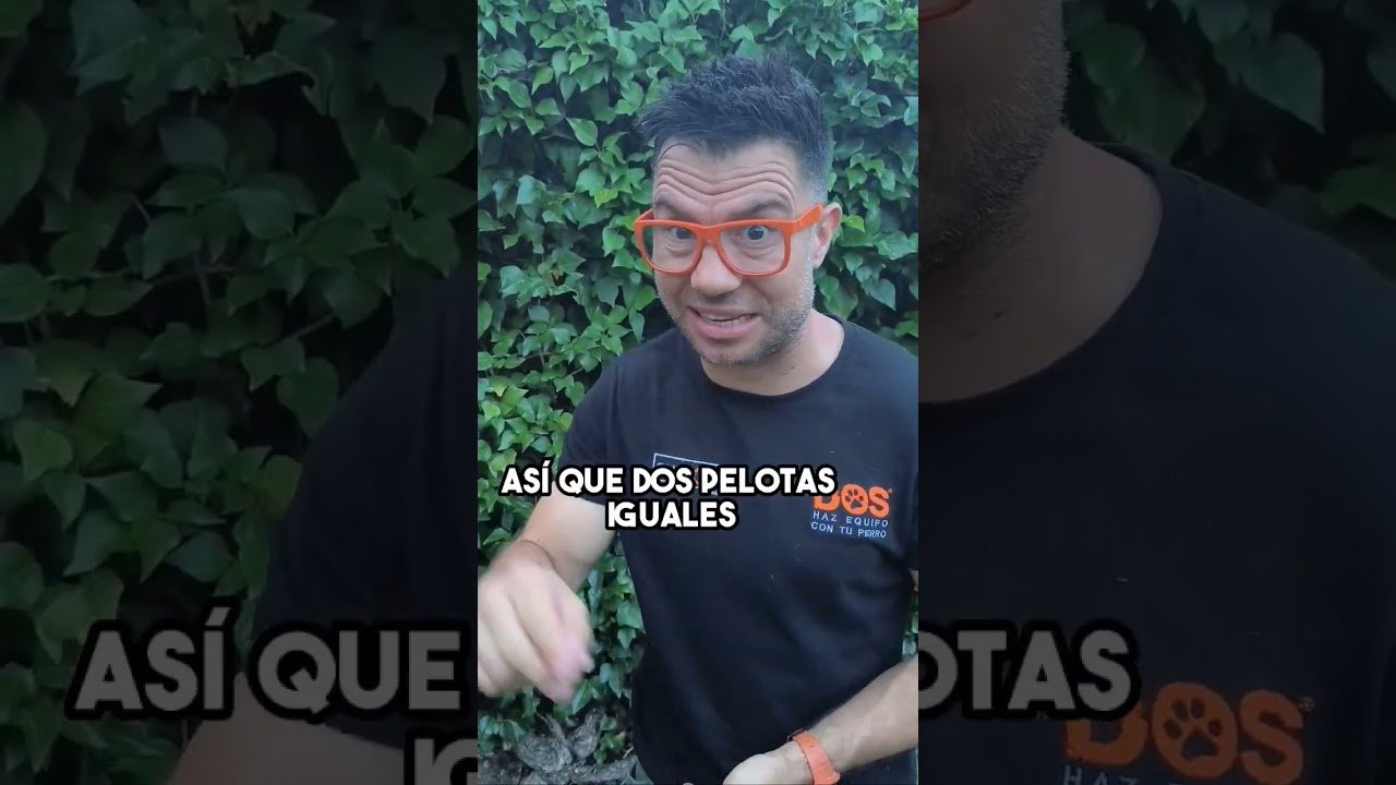 Equipo para Adiestrar a tu Perro
